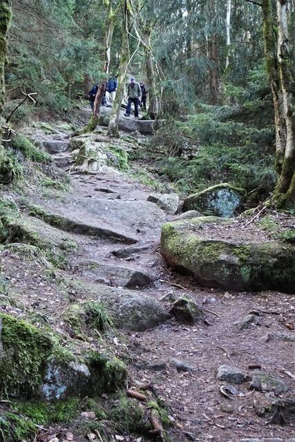hier auf dem Weg vom Gasthof Steinere Renne bis zur Holtemmenbrücke hatten wir schon die schwierigste Passage überwunden