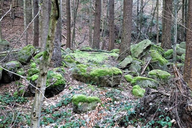 Felsbrocken im Holtemmental, die Holtemme fließt hinter den bemoosten Granitfelsen