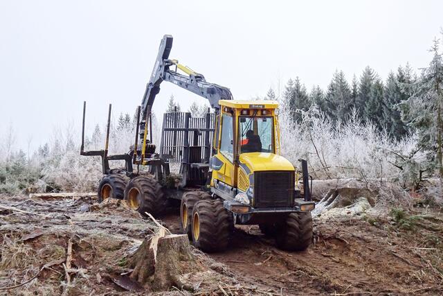 mit Hilfe dieses Forstgerätes werden die gefällten Fichten aus den ehem. Wald geholt