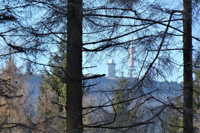 wahrscheinlich kann sich der Brockengipfel, beim nächsten Besuch, leider nicht mehr hinter den Bäumen verstecken