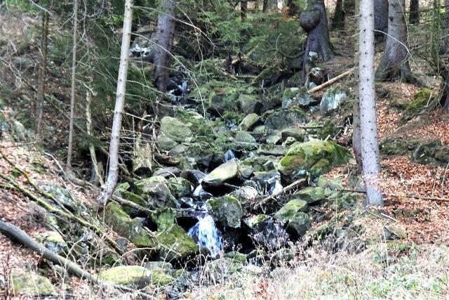 Braunes Wasser im Thumkuhlenweg