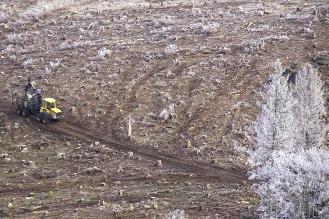 vom Ottofels ein Blick auf dem Einsatzbereich des Forstgerätes. Es ist einfach traurig!