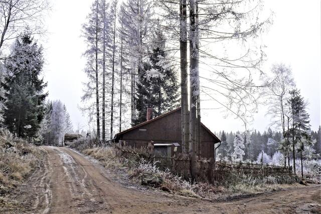 die ehem. Hütte der Bergwacht befindet  auf einer durch drei Wegen gebildeten Insel. Leider ist der umgebende Wald schon verschwunden!