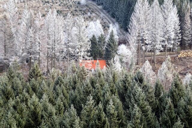 Blick auf die Bergwachthütte, die mit Rauhreif versehene Fichten sind bereits abgestorben