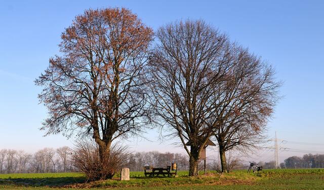Der Schwarze Busch mit dem Petruskreuz am "Helweg vor dem Santforde" (Peine-Pattensen-Paris) zwischen Koldingen und Ruthe. Hier spukt es nachts.