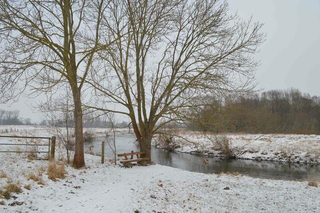 Die sogenannte Liebesbank am Sommerdeich der im 16. Jahrhundert errichtet wurde. Die Alte Leine verlandete.