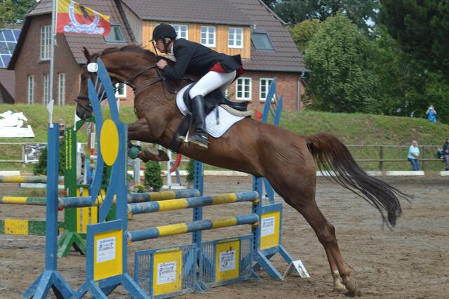 Der Reiterverein Calenberger Land richtet auch Turniere aus.