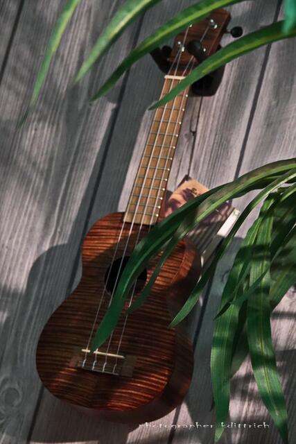 Ukelele.....
