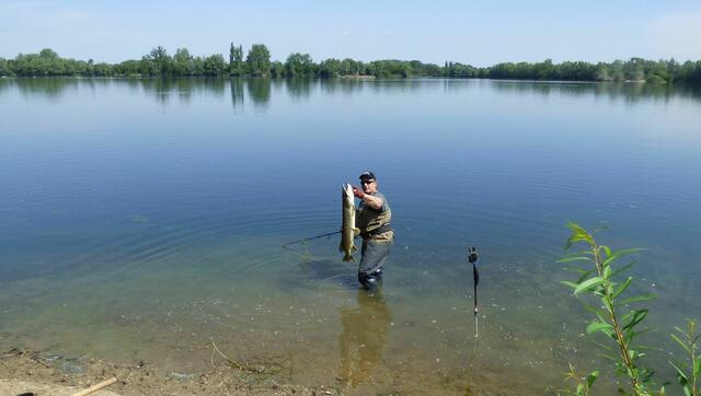 Angler mit Hecht im Koldinger See