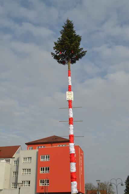 Auf dem Rathausplatz in Gersthofen wurde von der Faschingsgesellschaft Lechana ein "Narrenbaum" aufgestellt. Die Tafeln wurden am 25.01.2020 im Rahmen einer kleinen Feier angebracht.