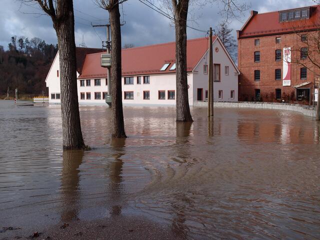 Wasserumtoste Bäume bei der Gailenbacher Mühle | Foto: Walter Gollmann