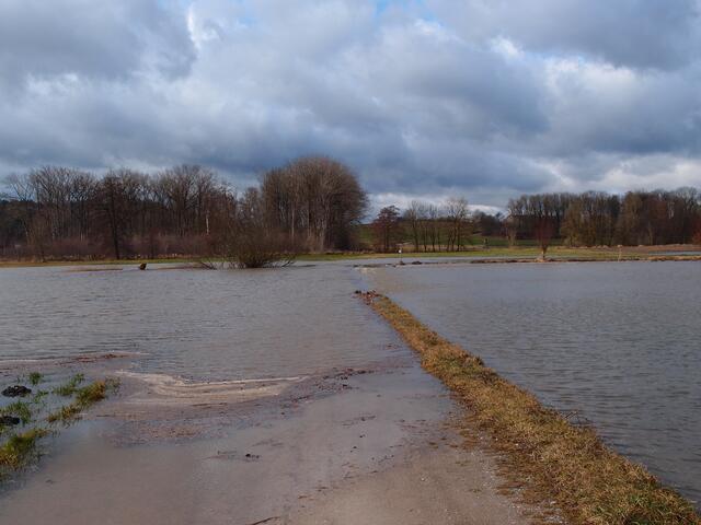 Beim Kreisverkehr nördlich der Autobahn zwischen Täfertingen und Hirblingen: Blick nach Westen: der Weg führt ins überflutete Schmuttertal | Foto: Walter Gollmann