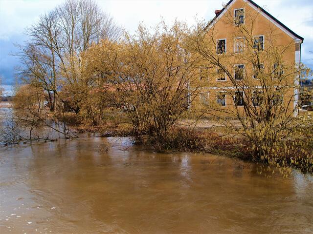 Die Schmutter- eine braune Brühe, bei der Hainhofer Mühle | Foto: Walter Gollmann