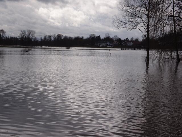 Blick über das überschwemmte Schmuttertal nach Hainhofen | Foto: Walter Gollmann