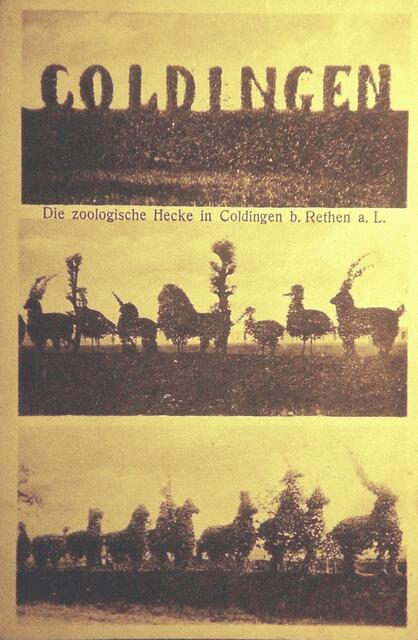 Die zoologische Hecke von Coldingen konnte man nur von der Strassenbahn aus bei Schwerdfeger sehen. Hier eine Postkarte von 1908