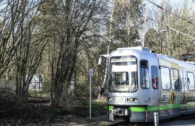 Haltepunkt Rethener Winkel: Aussteigen-einen entspannten Spaziergang über den Friedhof machen- im Bauerncafe eine Kuchenpause ( Frühstückspause ) genießen