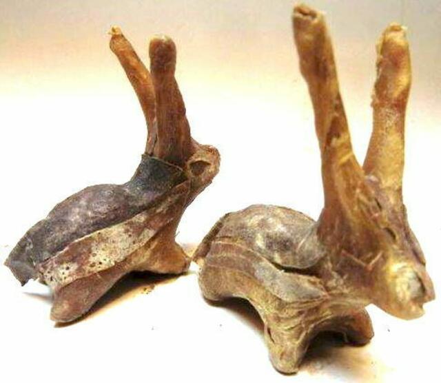 Ziegenhautreste für Ziegen-spielzeug