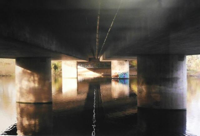 "Leben am Wasser" (Ausschnitt), Kathrin Sbrzesny.