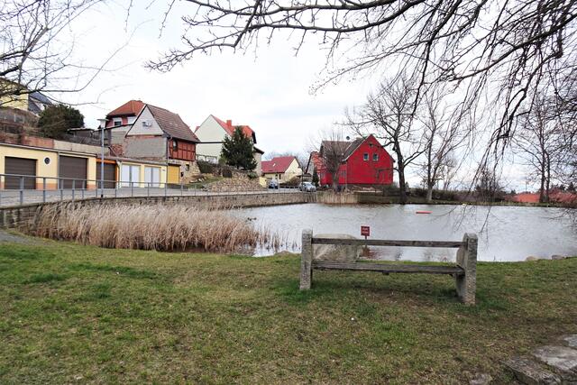 fast idyllisch der Hagenteich in Gernrode