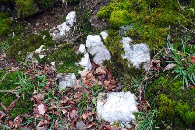 neben den vorherrschenden Schiefergestein um Treseburg kommt auch Alabaster vor