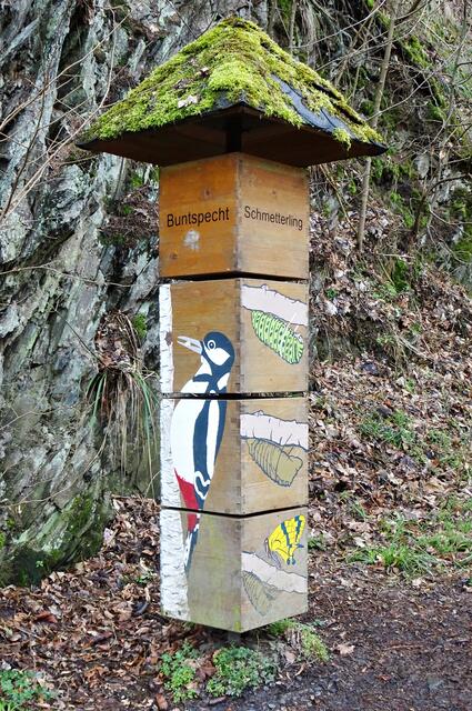 lehrreiche Säulen am Harzer - Hexen - Stieg