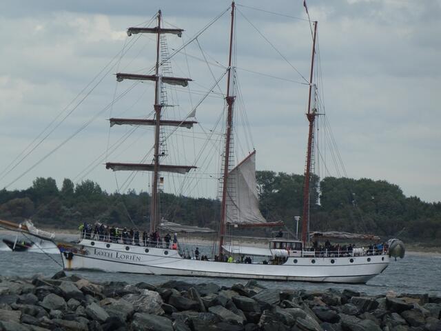 Loth Lorien