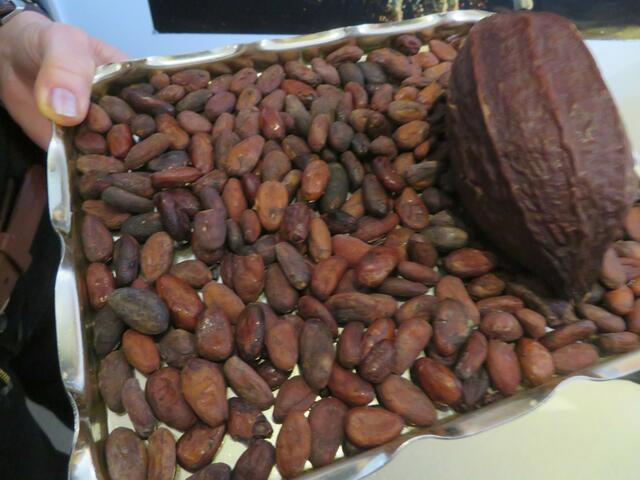 Aus der dicken Frucht wurden die Kakaobohnen heraus geschlagen.