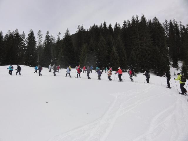 Ein großartigen Tag erlebten die Teilnehmer des vierten Gersthofer Schneetreibens, hier beim Schneeschuhwandern.