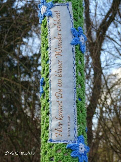 Scillablüte auf dem Lindener Bergfriedhof - 2020 (Foto: Katja Woidtke)