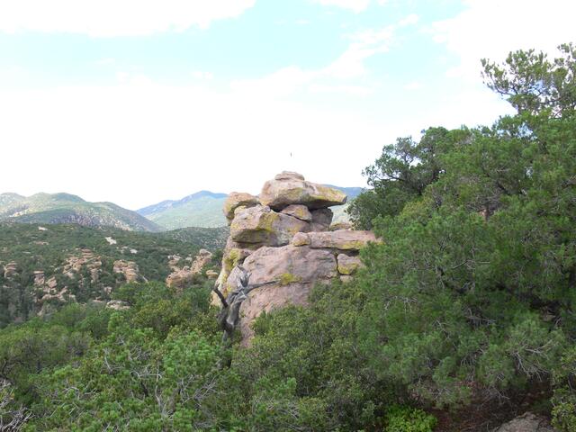 Chiricahua-EinstLand