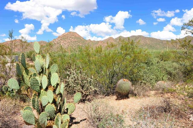 Arizona-einst Apachenland