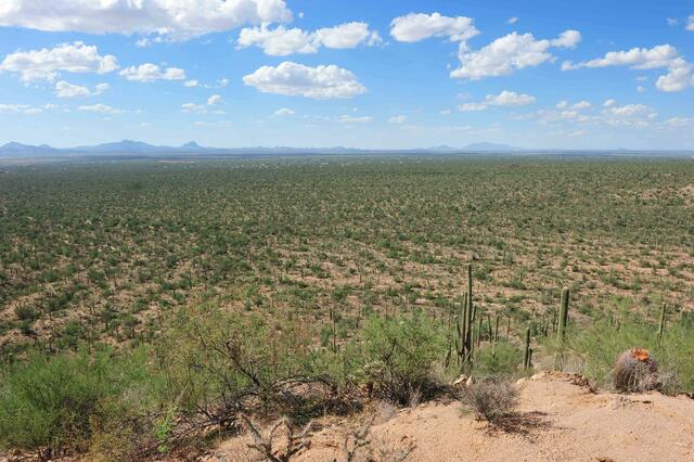 Arizona-einst Apachenland