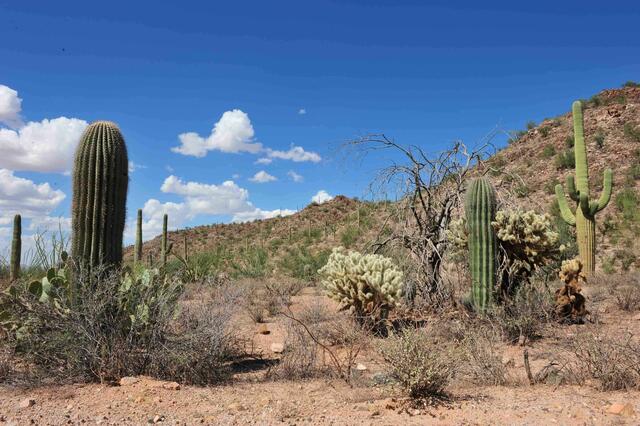 Arizona-einst Apachenland