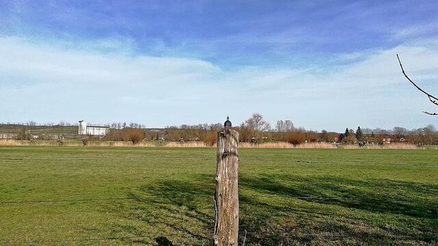 Sonntagsspaziergang in den Frühling am 15.3.2020 !