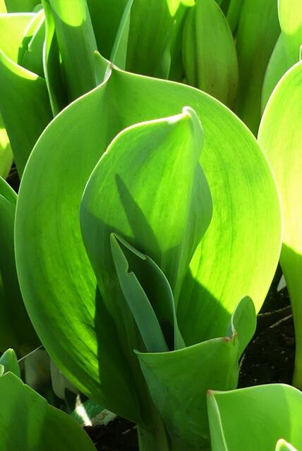 Licht und Schatten