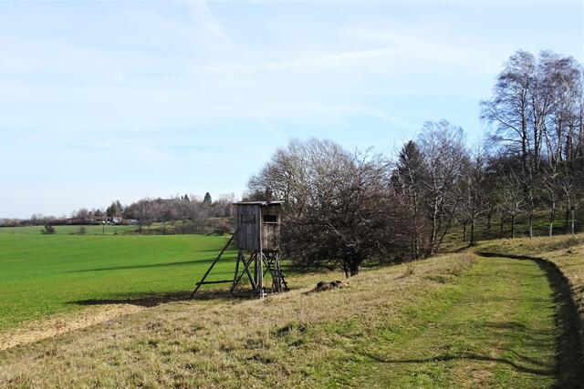 im Landschaftschutzgebiet