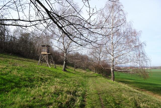 der Wanderweg nördlich der Schierberge