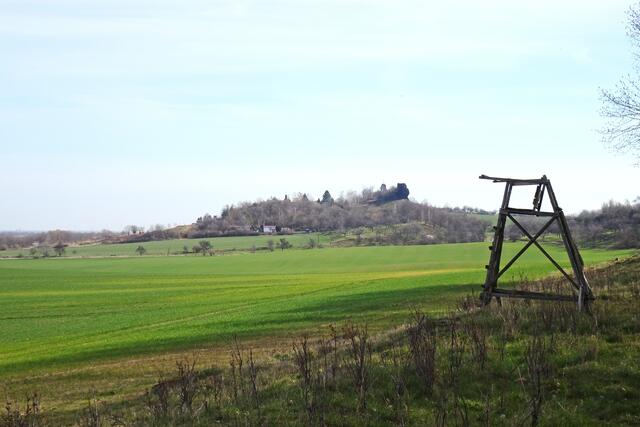 Landschaftsschutzgebiet Schierberge