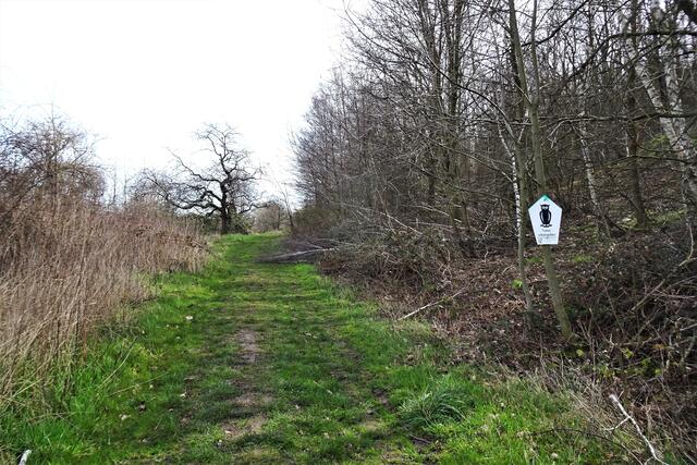 Wanderweg im Landschaftsschutzgebiet nördlich der Schierberge