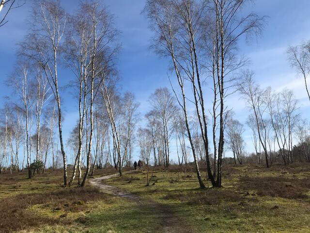 Bei herrlichen Sonnenschein und grusligen Wind geht es auch mal in die Heide
