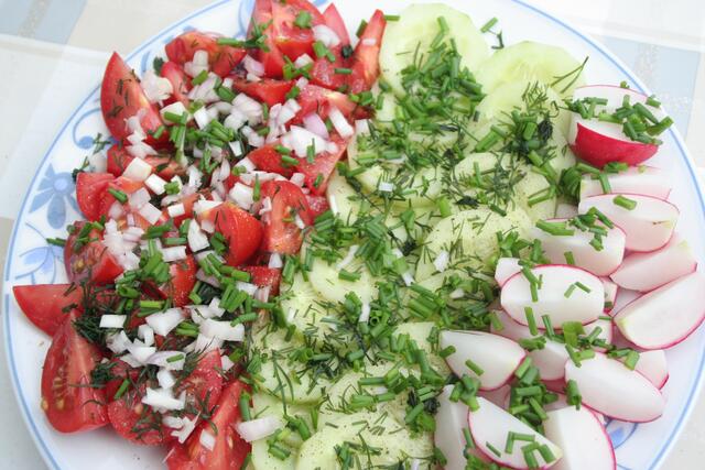 großer bunter Salatteller