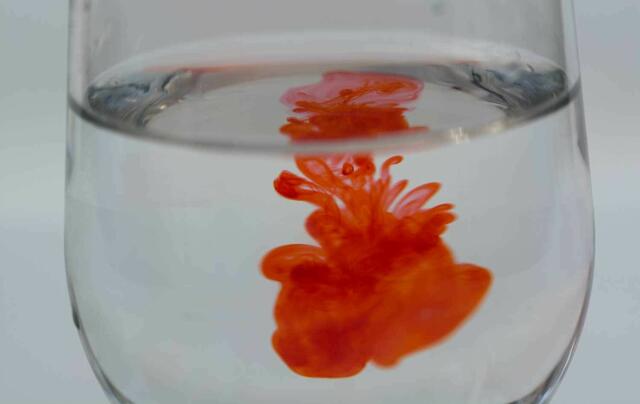 Rotes Meerestier?