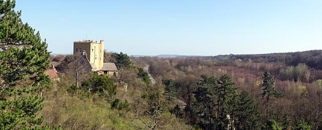 Panorama Roseburg, rechts im Bild Ballenstedt mit Schloss