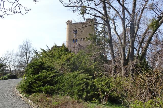 der Wohnturm, links daneben der Burgeingang mit Torhaus