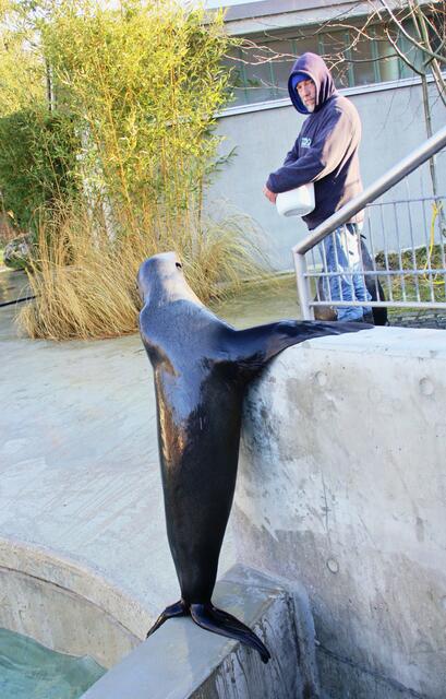 ,,Es wurde ja auch Zeit!"