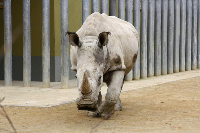 ,,Habe gerne die Fotografien attackiert!"