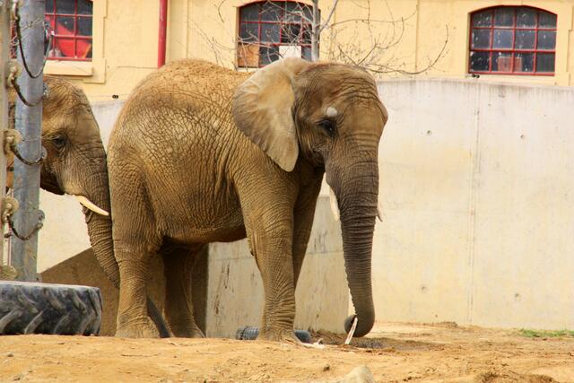 ,,Da kann man genauso drin bleiben!"