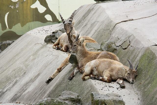 ,,Wann stehen wir auf?"