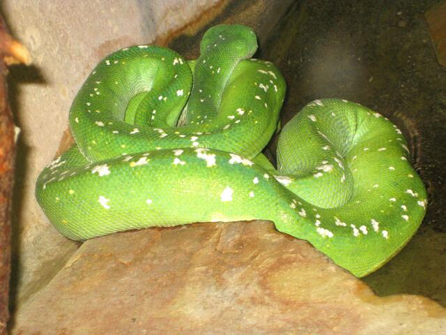 ,,Da will man nicht mehr wach werden!"