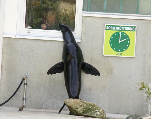 ,,Hey, wir können nicht zwei Wochen warten!"